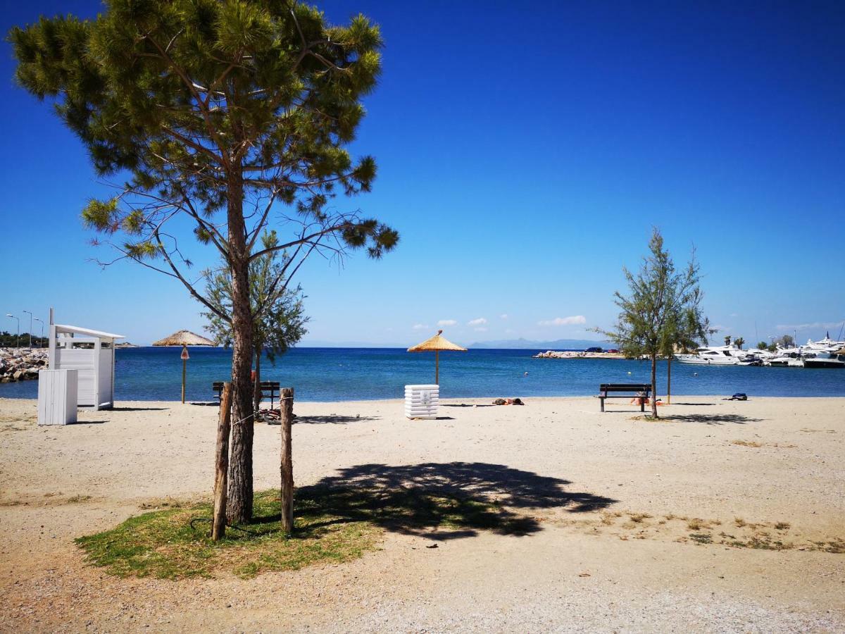 Sea&Sun Glyfada Apartment Atene Esterno foto